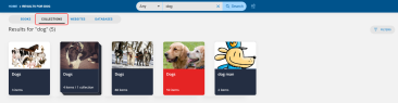 Search results page on the Collections tab.